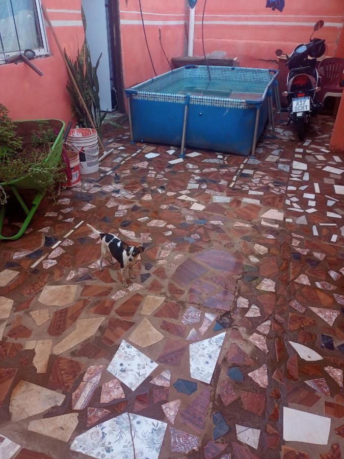 Flia brover  Puerto Iguazú Esterno foto